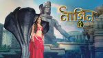 Naagin Season 5 (Bengali) 24th March 2021 bani on the lookout Episode 77
