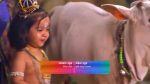 Hathi Ghoda Palki Jai Kanhaiya Lal Ki (Star Bharat) 14th January 2022 Full Episode 62
