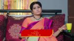 Rakhi Purnima 19 May 2022 Episode 48 Watch Online