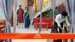 Agnipariksha (Telugu) 27 Jun 2022 Episode 207 Watch Online