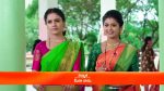 Agnipariksha (Telugu) 28 Jun 2022 Episode 208 Watch Online