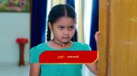 Paape Maa Jeevana Jyothi 22 Jun 2022 Episode 342 Watch Online