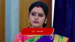 Paape Maa Jeevana Jyothi 28 Jun 2022 Episode 346 Watch Online