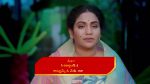 Rakhi Purnima 24 Jun 2022 Episode 74 Watch Online