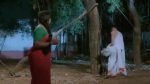 Trinayani (Telugu) 25 Jun 2022 Episode 640 Watch Online